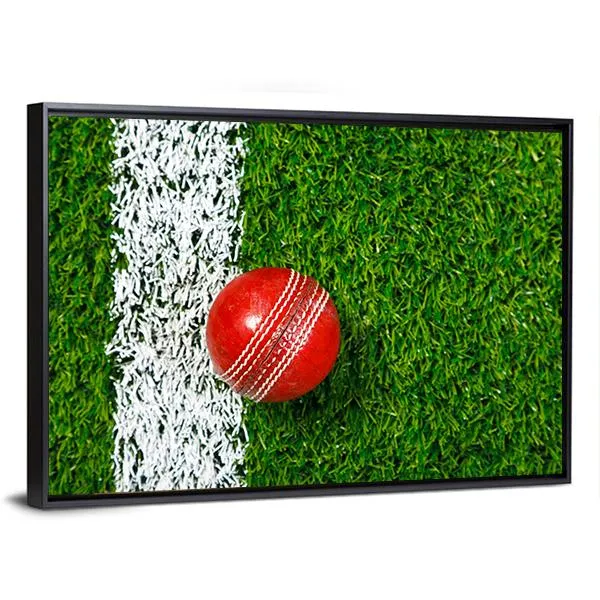 Cricket Ball On Grass Canvas Wall Art