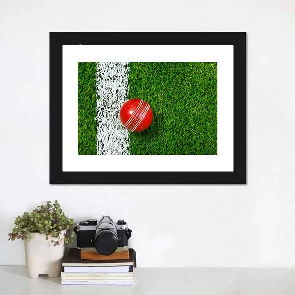 Cricket Ball On Grass Canvas Wall Art