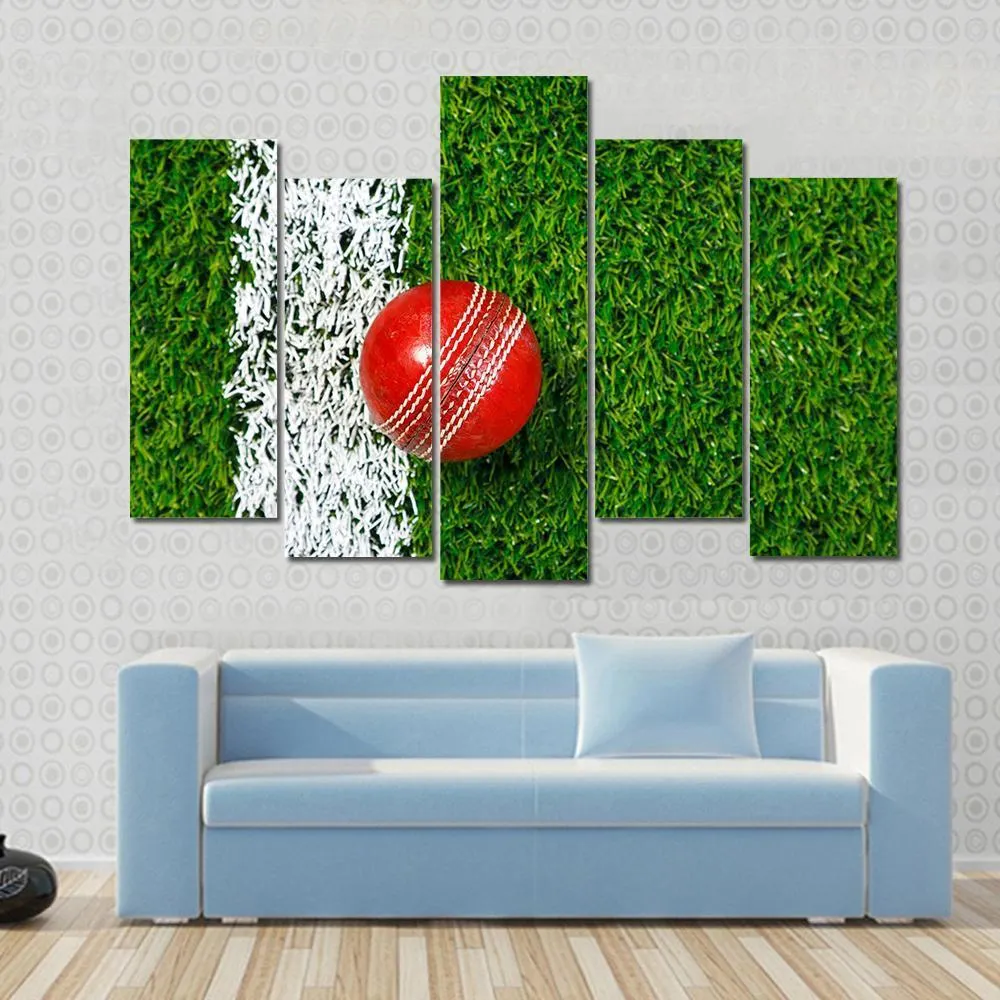 Cricket Ball On Grass Canvas Wall Art