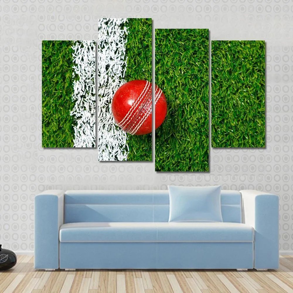 Cricket Ball On Grass Canvas Wall Art