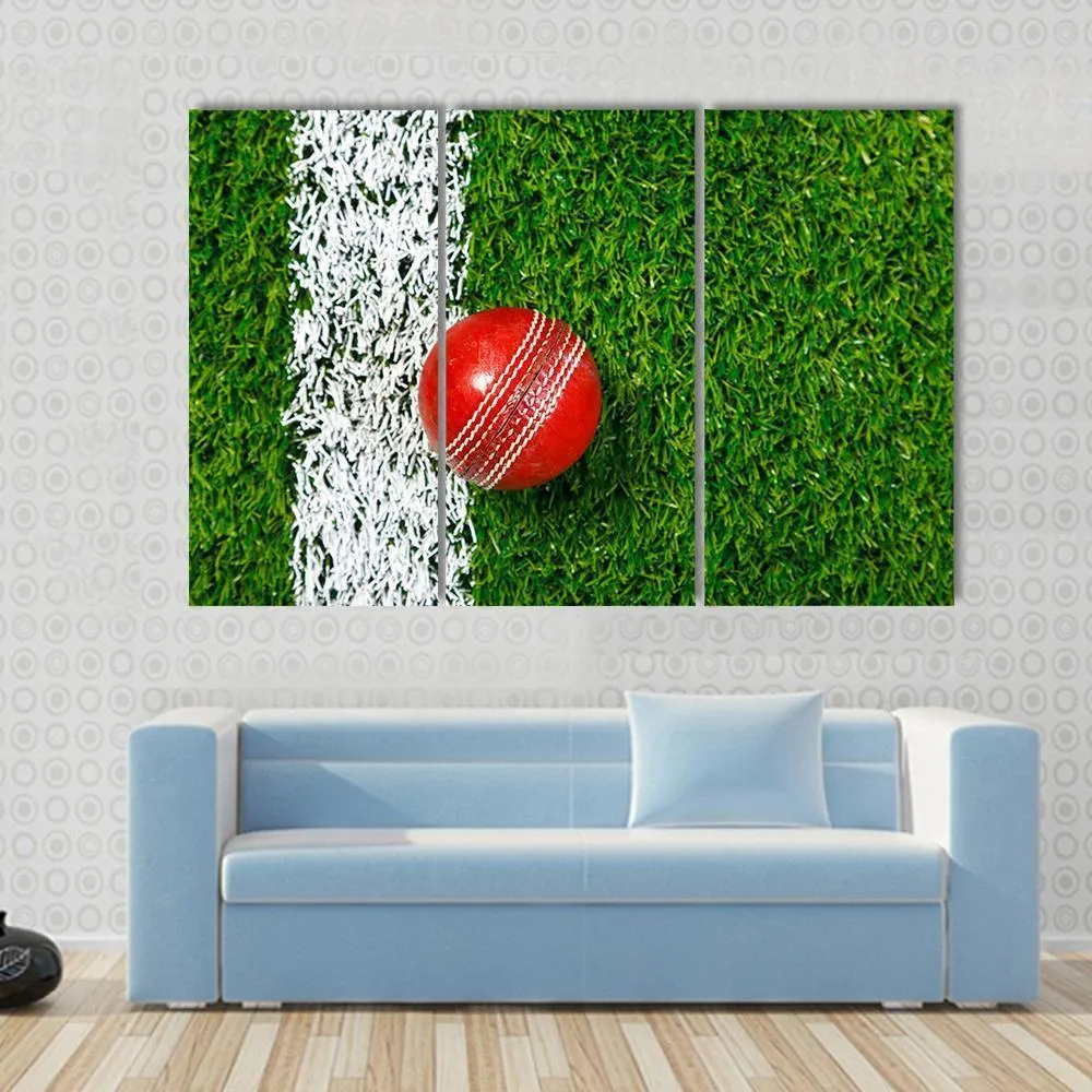 Cricket Ball On Grass Canvas Wall Art