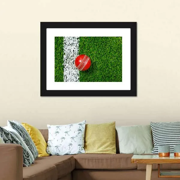 Cricket Ball On Grass Canvas Wall Art