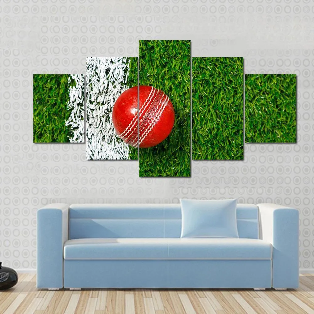 Cricket Ball On Grass Canvas Wall Art