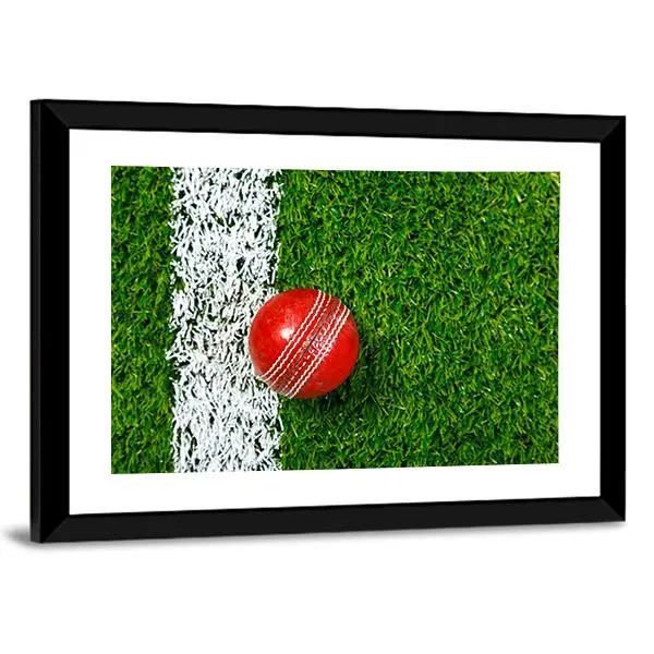 Cricket Ball On Grass Canvas Wall Art