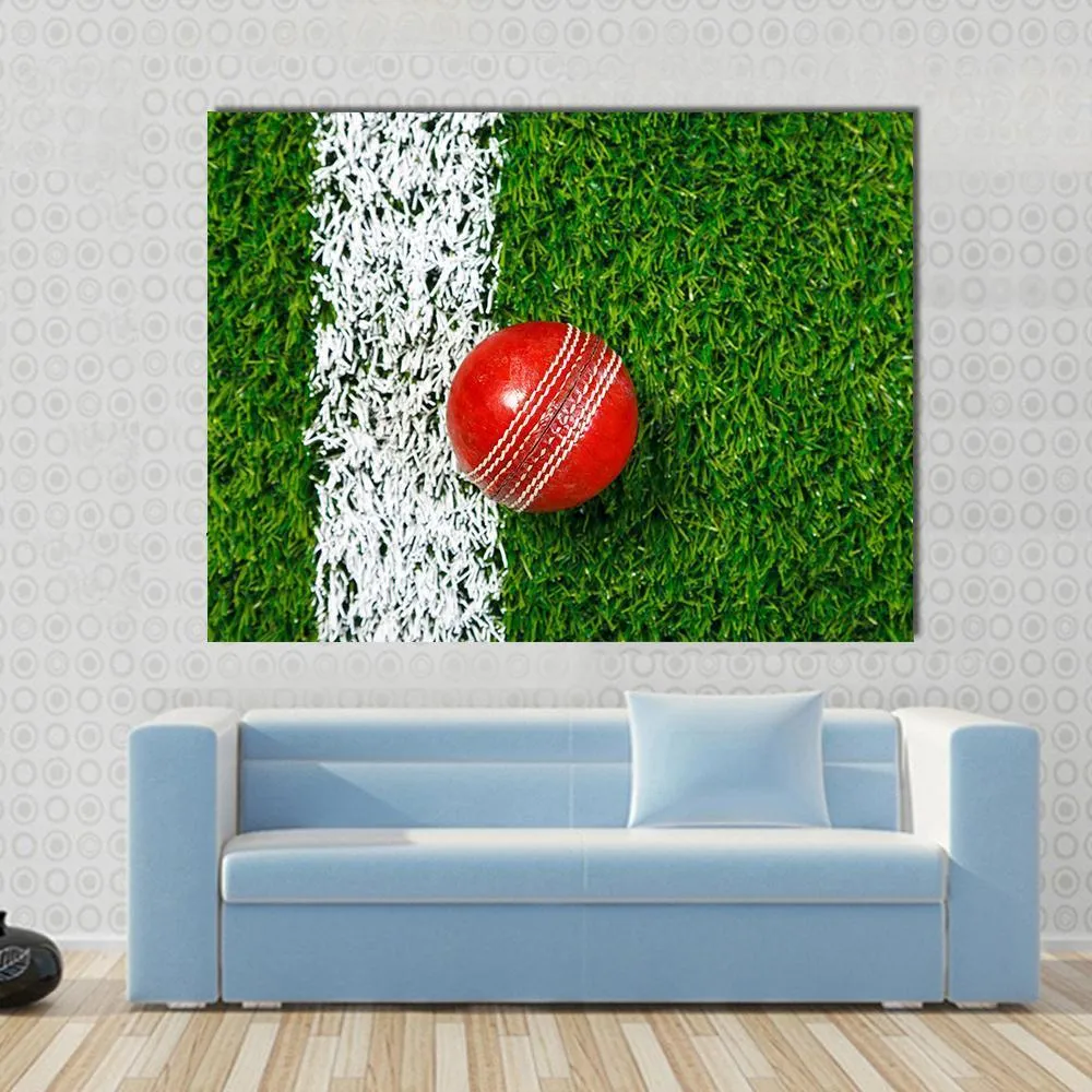 Cricket Ball On Grass Canvas Wall Art