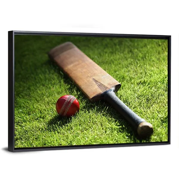 Cricket Bat & Ball Canvas Wall Art