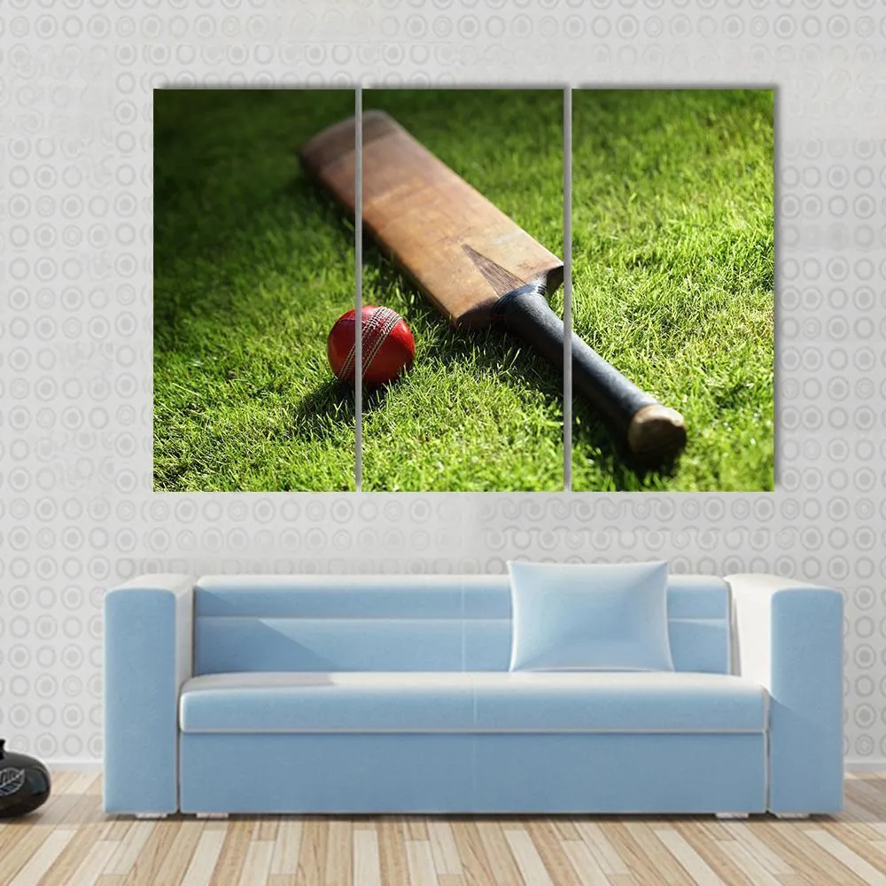 Cricket Bat & Ball Canvas Wall Art