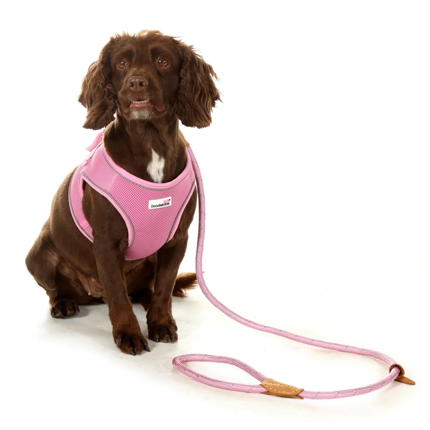 Doodlebone Originals Rope Lead 1.2m Fuchsia