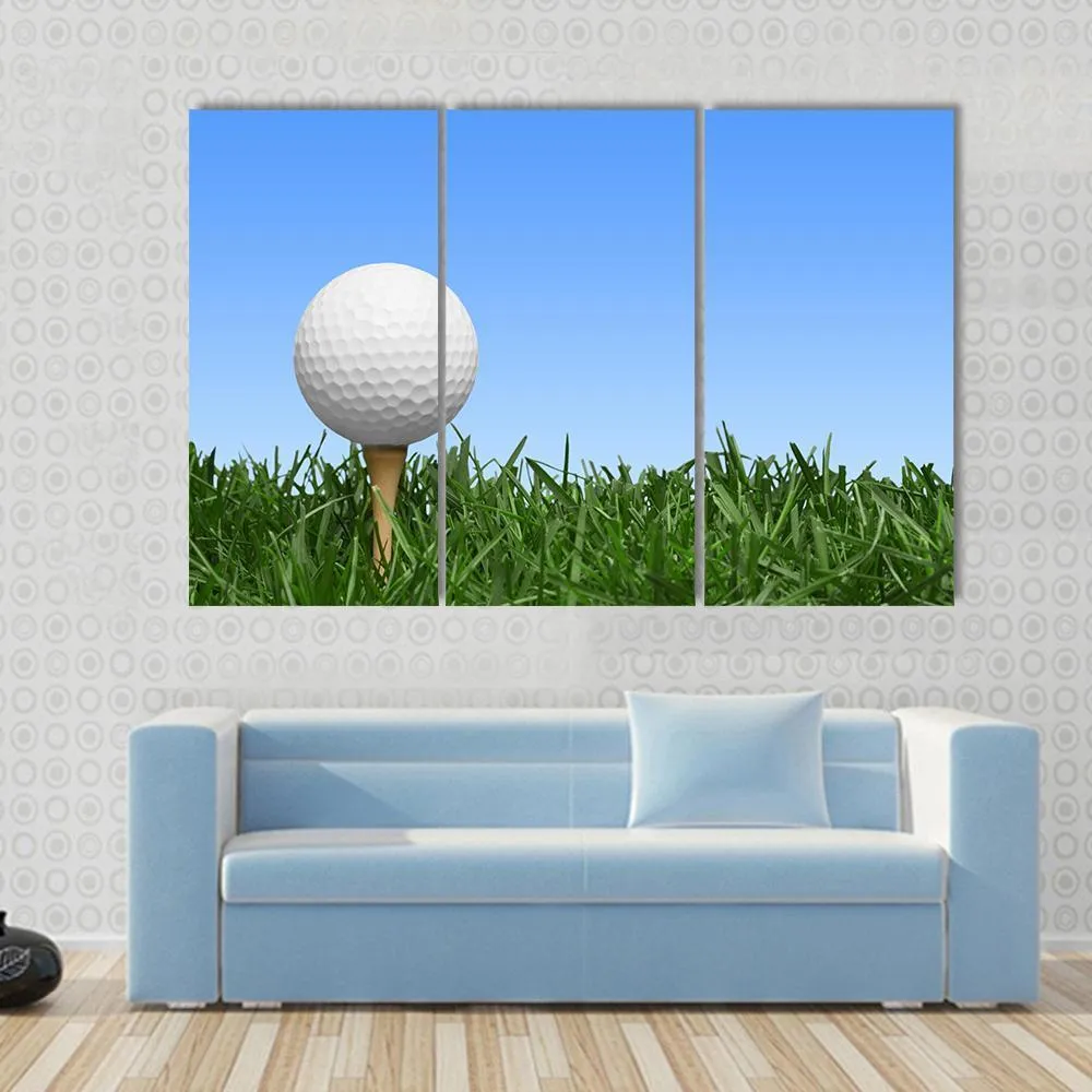 Golf Ball In Grass Canvas Wall Art