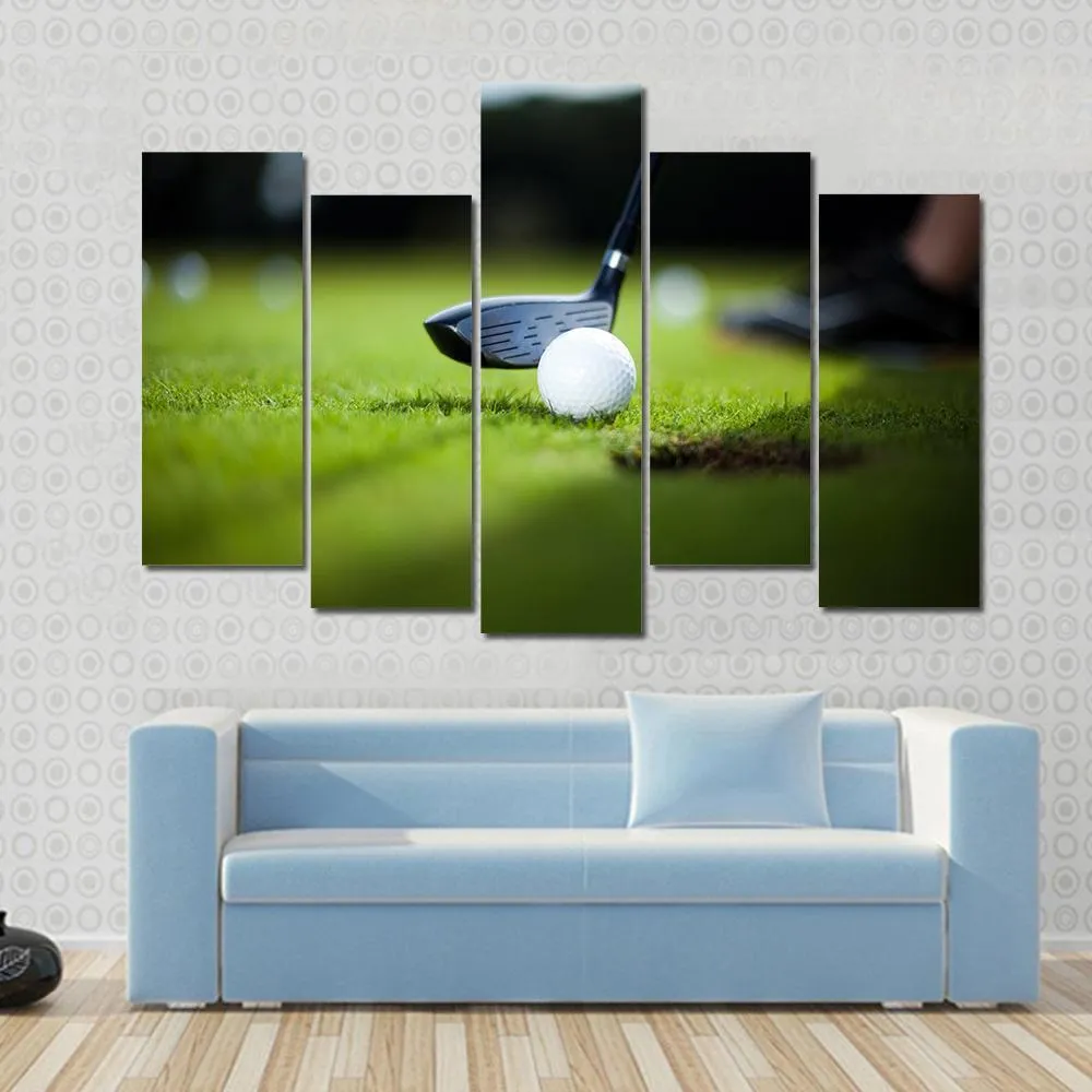 Golf Ball On Green Meadow Canvas Wall Art