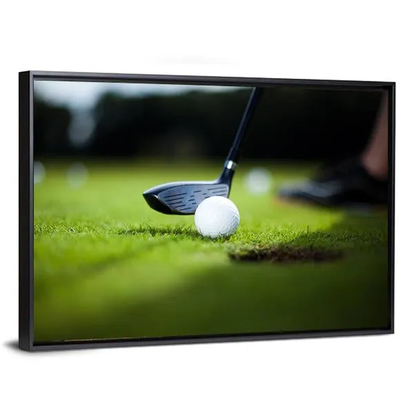 Golf Ball On Green Meadow Canvas Wall Art