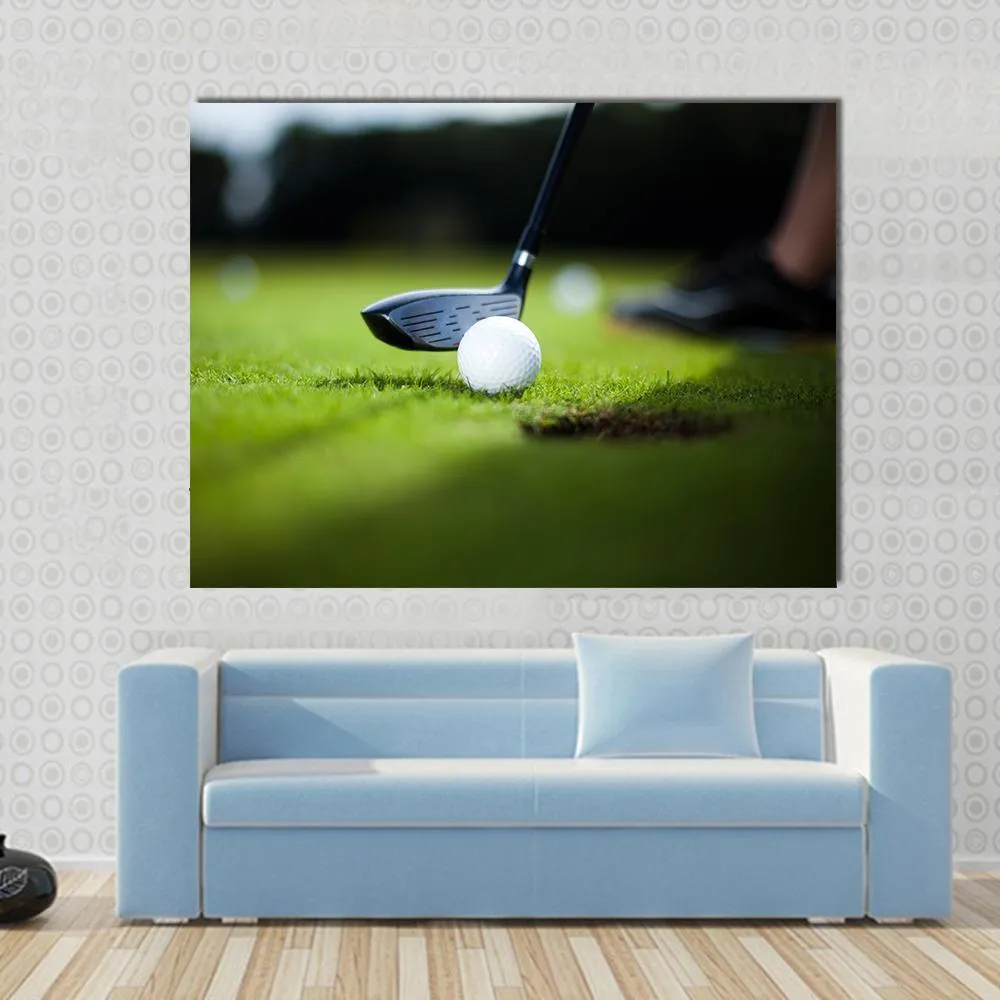 Golf Ball On Green Meadow Canvas Wall Art