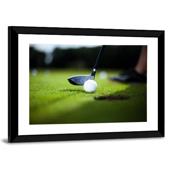 Golf Ball On Green Meadow Canvas Wall Art