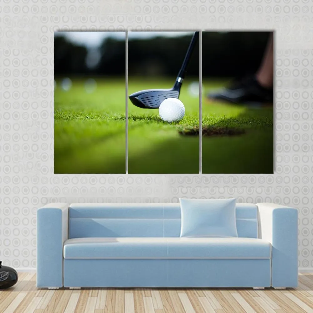 Golf Ball On Green Meadow Canvas Wall Art