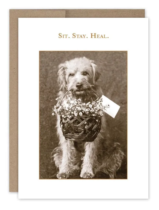 Shannon Martin Greeting Card